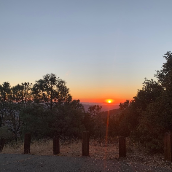 Meet your Posher, Mina - Picture 1 of 1